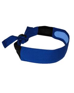 Radians ArcticWear Headband